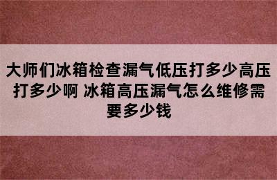 大师们冰箱检查漏气低压打多少高压打多少啊 冰箱高压漏气怎么维修需要多少钱